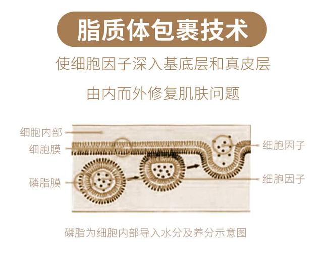 中国尊龙凯时人生就是博z6com品牌有哪些 中国尊龙凯时人生就是博z6com品牌有哪些