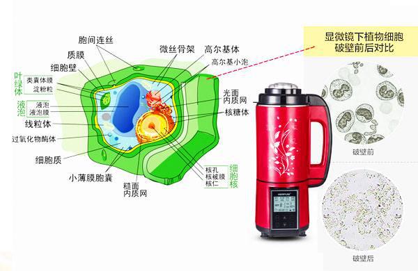 中国尊龙凯时人生就是博z6com品牌网 中国尊龙凯时人生就是博z6com品牌网
