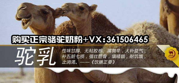 尊龙凯时人生就是博z6com品牌