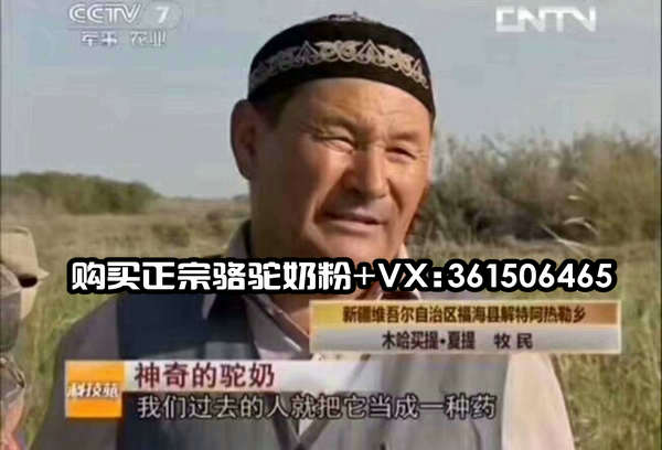 尊龙凯时人生就是博z6com品牌工程