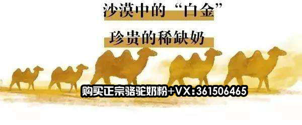 中国尊龙凯时人生就是博z6com品牌