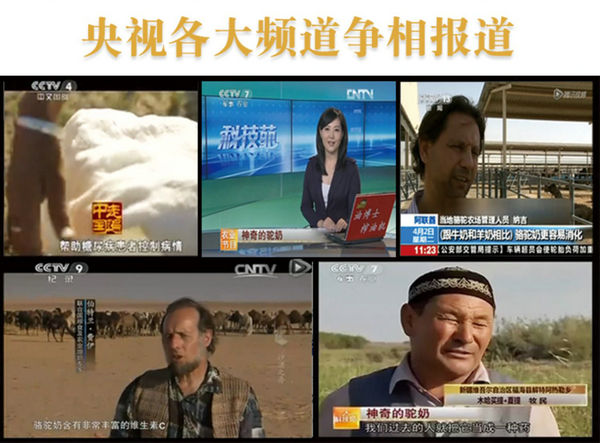 中国尊龙凯时人生就是博z6com品牌网